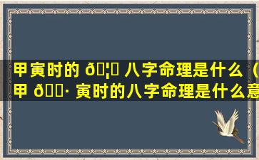 甲寅时的 🦄 八字命理是什么（甲 🌷 寅时的八字命理是什么意思）